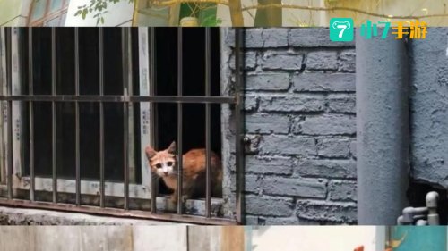重庆社区