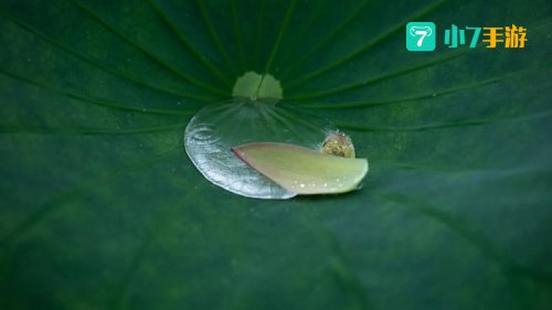 大珠小珠落玉盘形容什么乐器